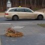 Stetig vorbeirauschender Autoverkehr auf der Tiergartenstrasse